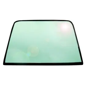 X3673 Dynacorn For Ford Mustang 1969-1970 Back Glass