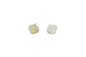 W703507-s300 Ford New Oem Wheelhouse Liner Clips Qty 2 Nos