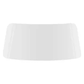Nr5248c Oer For Chevy Nova 1975-1979 Back Glass