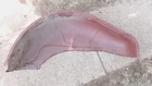Nos 1960 1963 Ford Galaxie Left Rear Wheel Well Panel Original Fomoco Inner Merc New. Price: $275.00.