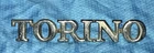 1972 Ford Torino Script Name Plate D2OB-16098-DA W16 Used. Price: $13.00.