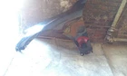 09-14 Hyundai Genesis Sedan Driver Left Fender Used. Price: $115.00.