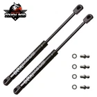 2X Rear Trunk Hatch Lift Supports For Acura Rsx 2002-2006 Honda 2002-2004 New. Price: $24.68.