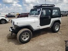 Passenger Right Quarter Panel Fits 87-95 Wrangler 481618 Used. Price: $700.00.