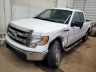 (no Shipping) Pickup Box Styleside 6' 6" Fits 09-14 Ford F150 1744137 Used. Price: $720.01.