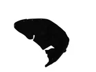 Genuine Mopar Wheelhouse Inner Silencer Right 68376706AH New. Price: $61.89.