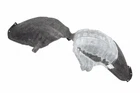 Genuine Gm Rear Driver Side Wheelhouse Liner 84517102 New. Price: $171.80.
