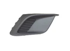 Sherman Parts Capa Frt Bumper Insert New. Price: $22.99.