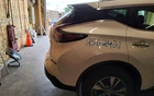 Nissan Murano 2015-2023 Right Quarter Panel Manual Liftgate 1682815 Used. Price: $516.00.