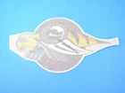 Genuine Mopar Pickup Box Decal 5159218AA New. Price: $107.20.