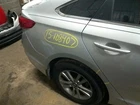 *no Shipping* Passenger Quarter Panel Vin 3 5TH Digit Fits 15 Sonata 10216276 Used. Price: $508.78.