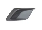 Sherman Parts Capa Frt Bumper Insert New. Price: $22.99.