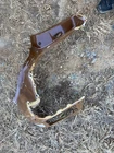 Tesla Model 3 Rear Right Outer Quarter Ourter Panel Cut 2024 2025 1910795-S0-A Used. Price: $388.00.
