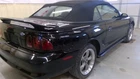 (local Pickup Only) Passenger Right Quarter Panel Convertible Fits 94-98 Mustang Used. Price: $299.90.