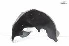 2022-2024 Subaru Wrx Rear Right Side Quarter Panel Splash Guard Shield Oem Used. Price: $132.59.