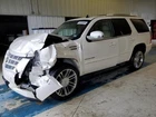 Driver Left Quarter Panel Fits 07-14 Escalade 568358 Used. Price: $401.44.